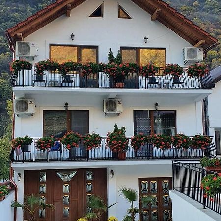 Apartamento Casa Mimi Băile Herculane Exterior foto