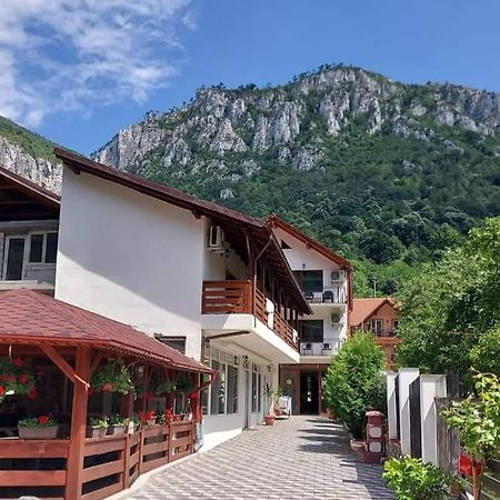 Apartamento Casa Mimi Băile Herculane Exterior foto