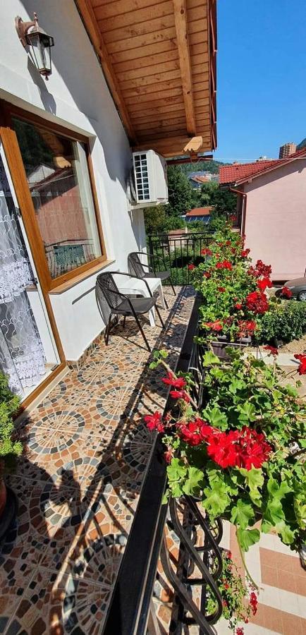 Apartamento Casa Mimi Băile Herculane Exterior foto