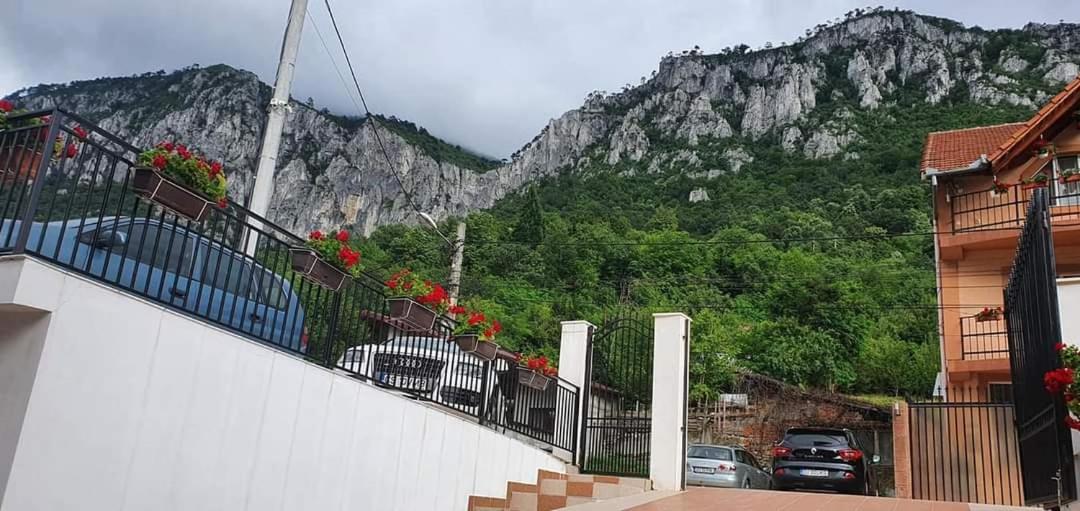 Apartamento Casa Mimi Băile Herculane Exterior foto
