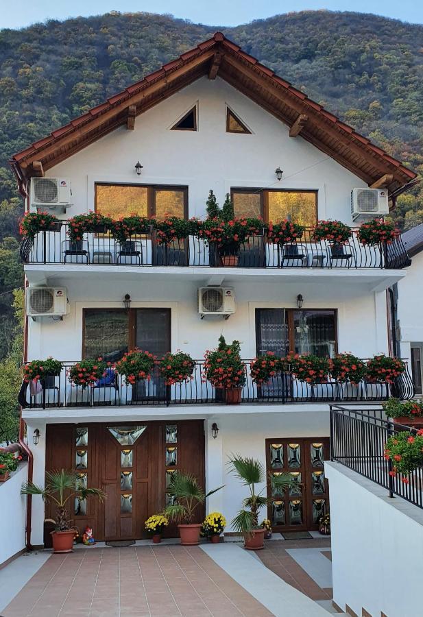 Apartamento Casa Mimi Băile Herculane Exterior foto