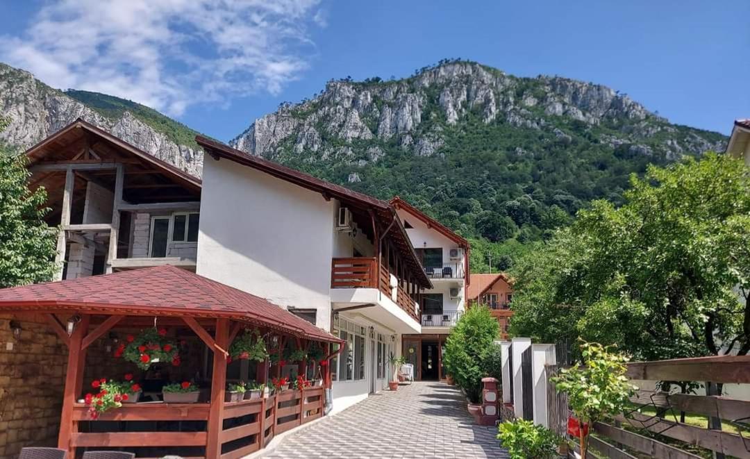 Apartamento Casa Mimi Băile Herculane Exterior foto